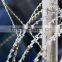 (high quality)Galvinized razor barbed wire(factory)