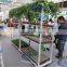 376 grow sapling tray cart