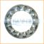 China professional manufacturing zinc plated washer square serrated lock washer