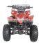 Kids Gas Powered Atv 50cc