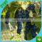 supply various apple tree anti hail net/hail protection net/anti brid net