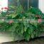 SOL Quality-reliable Windows Box Hanging Windows Planter Box Planter
