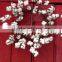 New Design Artificial Cotton Wreath