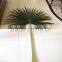 Newest design top quality artificial palm tree leaves
