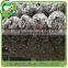 Stainless steel cleaning ball kitchen use