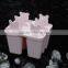 Food Grade PP Cute g 6 Units Plastic Ice Cream Mold For Kids