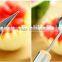 Multifunction Kitchen Fruit Salad tool , Melon baller & Carving knife