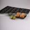 Chinese gold manufacturers plastic Fruit Tray with cells