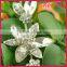 2016 rhinestone metal wedding bridal hair decoration WHD-028