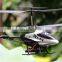 ATTOP Wifi Helicopter 2.4GHZ 3-Channel FPV RC Helicopter with gyro Iphoe/Ipod Control Helicopter With Live Transmission Camera