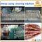 cattle casing cleaning machine intestinal washing and cleaning machine