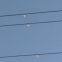 Electric Power Overhead type Cable Fault Indicator