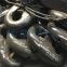 China marine kenter shackle/ end shackle/ anchor shackle price