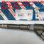 High Quality Common Rail Fuel Injector Bosch 0445110248 Fuel Injector Nozzle for sale