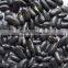 black kidney bean