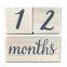 Wood Milestone Age Blocks, Baby Age Photo Blocks Baby Shower Gift and Keepsake