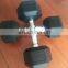 commercial gym equipment fitness ASJ-P014  Rubber hex dumbbell gym accessories