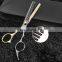 Professional Hair Scissors Cut Hair Cutting Salon Scissor Barber Thinning Shears Scissors Set