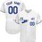 superb Quality Custom Blank Team Wear 3D Sublimation Printed new york Baseball Jerseys man and women