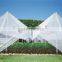 plastic anti-hail net Chinese manufacture
