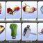 Famous The Avengers wholesale buy flash drives download                        
                                                Quality Choice