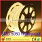 AC 110V/220V SMD 5050 60LEDs/M 1000LM/M IP68 10mm PCB with CE/RoHS/LVD RGB LED strip