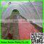 Supply 2016 100% virgin LDPE Duratough extra heavy duty 180 micron greenhouse film with great storm / wind resistance