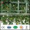 plastic leaf fence fake boxwood wall hedge screens