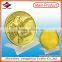 Custom High Quanlity Metal 3D Coin