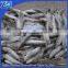 Frozen sardines fish different type best canned sardines