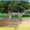 Museum educational replica dinosaur fossil