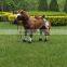 stuffed christmas horse toy for children