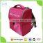 Unique Design School Backpack Cooler Bags Food Use and Insulated Type Lunch Cooler Bag