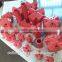 China High Quality Self Drilling Rock Anchor Bolt,R32N, Alloy Structure Steel