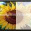 China OEM customize TFT capacitive touch screen 8 inch, LCD monitor