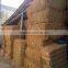 Coconut Fiber- High quality _ QQ : 2598494113