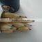 12pcs 3.5 inch natural wood student colored pencils with sharpener
