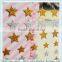 star stickers glitter label sticker