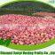 2015 New Crop fresh Qinguan Apple, sweet red Qinguan Apple Fruit
