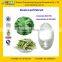 GMP Certified Manufacturer Supply Natural Stevia Extract Powder in Bulk