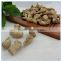 Dried Shiitake Mushroom Stem Spawn