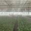 AceFog Greenhouse Cultivation Misting Cooling Machine