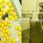 Paintball filling machine