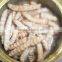 high protein and good quality mealworms
