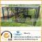 Outdoor Powder Coated Dog Kennel Large Dog Cages for Sale