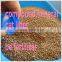 BEST CLEAN Compound mineral bentonite cat sand