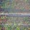 China 1/4 Inch Vinyl Micro Tubing with .245 OD drip pipe Drip irrigation
