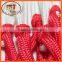 PP/PE Basketball Net