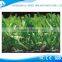 Hot selling popular design landscaping artificial grass carpet