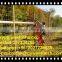 Factory supply high quality farm fence / field fence & cattle fence / horse farm fence